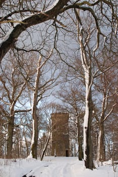 Vertical shot of an old tower at the Steinberg in the Harz mountains near Goslar, Germany