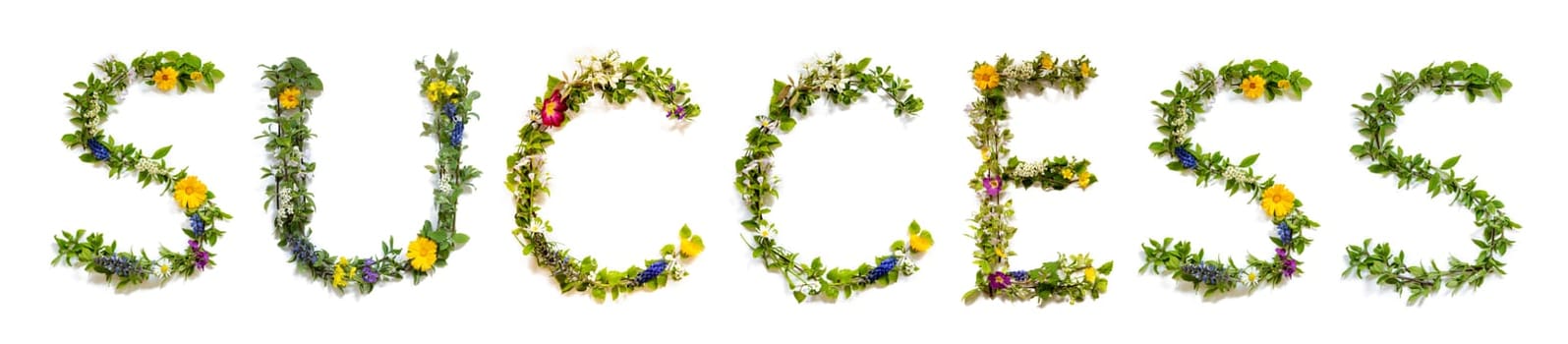 Blooming Flower Letters Building English Word Success. Colorful Spring and Summer Blossoms. White Isolated Background.