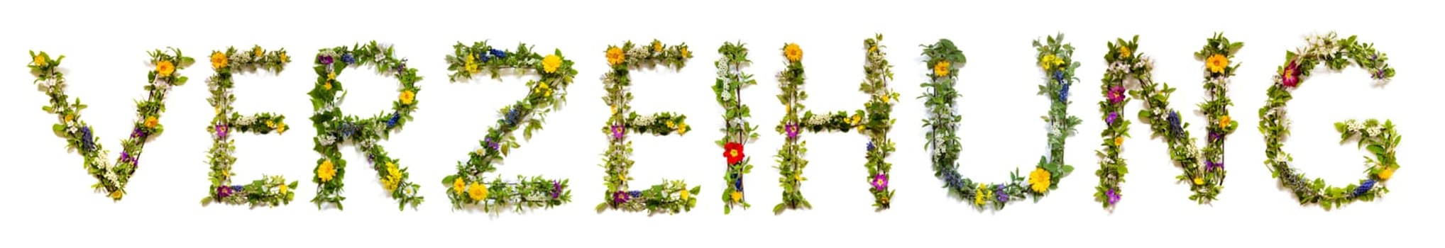 Blooming Flower Letters Building German Word Verzeihung Means Forgiveness. Colorful Spring and Summer Blossoms. White Isolated Background.