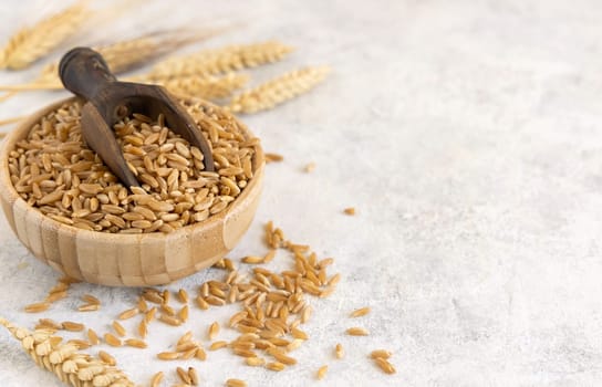 Bowl of raw dry rye grain with a wooden spoon on white table close up, copy space. Healthy alternative low gluten seeds. Protein source for vegan and vegetarian diet.