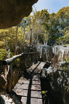 Narrow path between rocks in Petit Tsingy de Bemaraha, Strict Nature Reserve located near the western coast of Madagascar. UNESCO World Heritage.. Madagascar amazing wilderness landscape