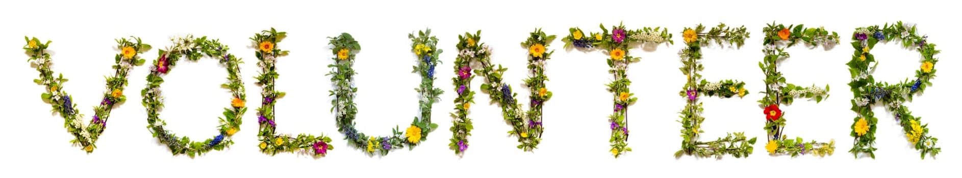 Blooming Flower Letters Building English Word Volunteer. Summer And Spring Season Blossoms And Flower Lei.