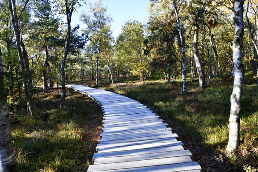 The black moor is one of the most beautiful geotopes in Bavarian