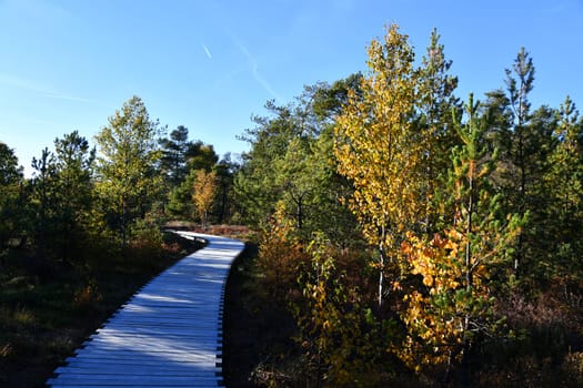The black moor is one of the most beautiful geotopes in Bavarian