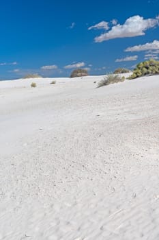 Unblemished White Sands on a Sunny Day in White Sands National Park in New Mexico