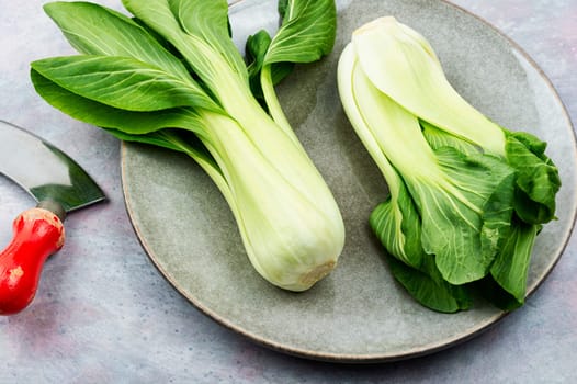 Chinese cabbage, bok choy, pok choi on the table. Asian cuisine