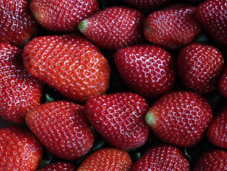delicious strawberries fresh fruits natural seeds dessert red