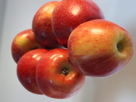 delicious natural red apples tasty beautiful temptation fruit vitamins