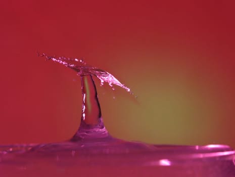 Drop of water colliding when it bounces and forming a palm tree
