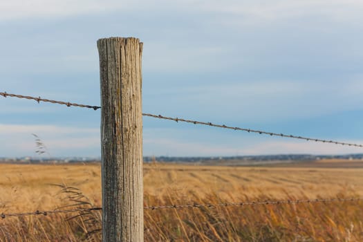 Fence Post with prairie landscape bokeh.