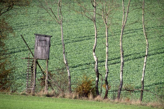 High seat for hunters in the forest