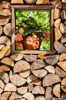 Gardening ideas - pile of chopped fire wood with flower pot inside