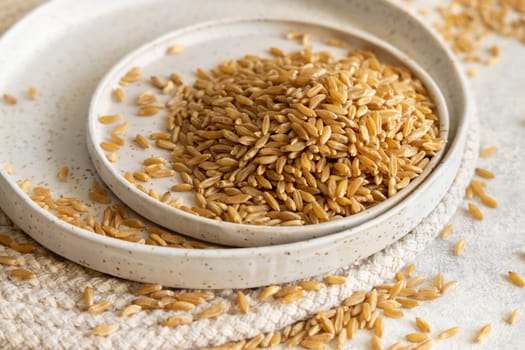 Plates of raw dry rye grain on white table close up. Healthy alternative low gluten seeds. Protein source for vegan and vegetarian diet.