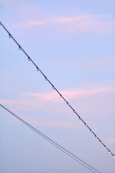 Illuminated string lights hanging on a cable, silhouetted against a colorful evening sky. The gentle gradient from blue to pink creates a tranquil and enchanting setting.