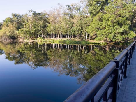 Quiet calm lake on a tropical water edge, stock photo