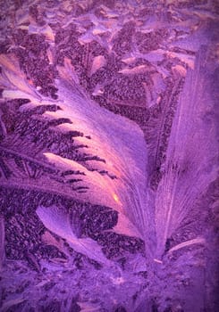 Frosty Window.