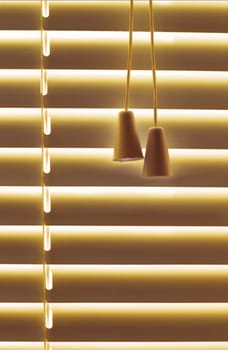 Venetian Blinds