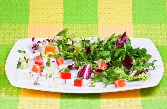Various salad leaves with tomato, radish and cucumber