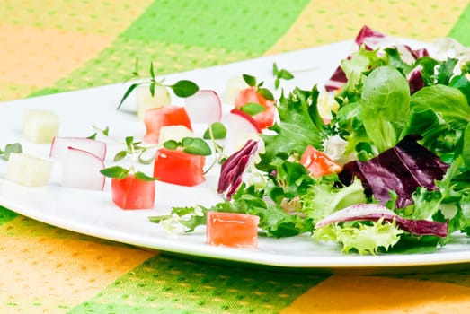Various salad leaves with tomato, radish and cucumber
