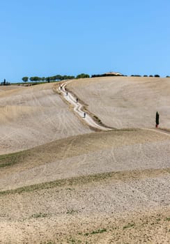 The rural landscape near San Quirico in Tuscany. Italy