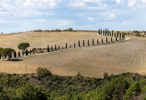 The rural landscape near Pienza in Tuscany. Italy