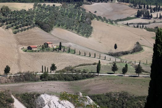 The rural landscape near Pienza in Tuscany. Italy