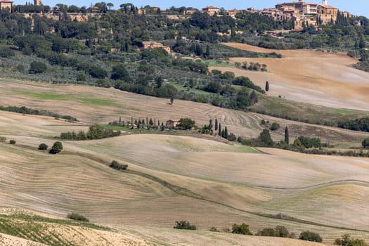 The rural landscape near Pienza in Tuscany. Italy