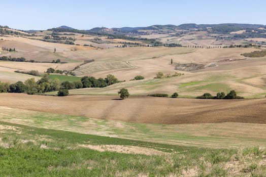 The rural landscape near Pienza in Tuscany. Italy
