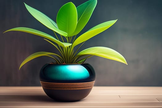 Green plant in vase on wooden table with black wall background