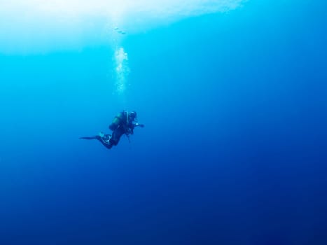 scuba diver diving in the ocean, the water is blue and clear, the man is wearing a wetsuit