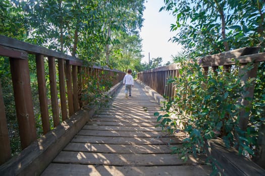 Little boy crossing a wooden bridge alone. Riverside eucalyptus forest