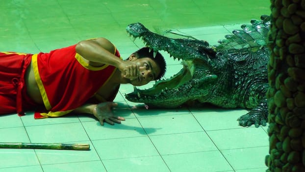 PATTAYA, Thailand - march 9, 2016. Crocodile show at the crocodile farm in Pattaya. A man puts his head in the mouth of a crocodile. A very popular and exciting tourist attraction.