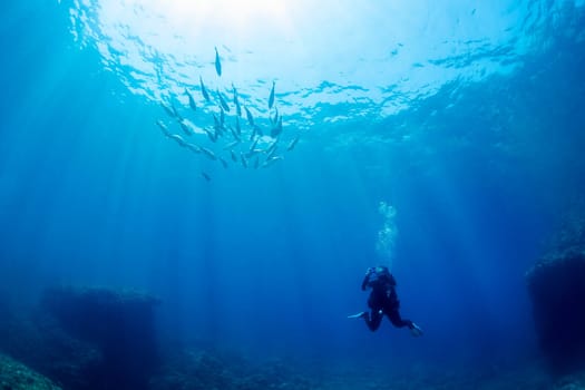 scuba diver diving in the ocean and taking photos of fish swimming around him, the water is very clear and the sunlight is shining through it