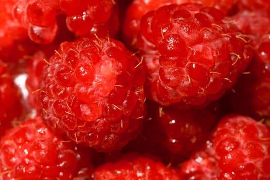red wild raspberry macro close up