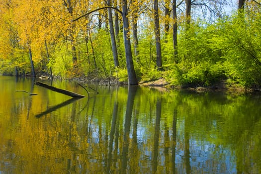 nature reserve Bislicher Insel, Lower Rhine Region, Germany