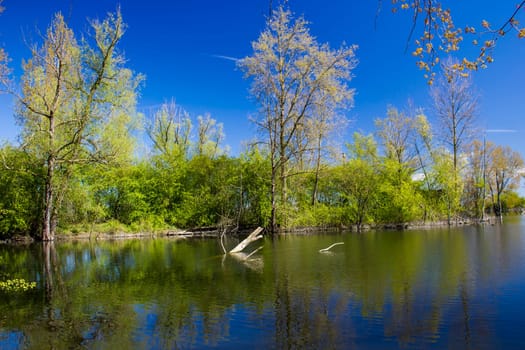 nature reserve Bislicher Insel, Lower Rhine Region, Germany
