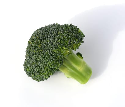 Broccoli,brassica,oleracea has large green flowers with excellent taste and decorative appearance. Broccoli,Brassica,oleracea has large green flowers with excellent taste and decorative appearance