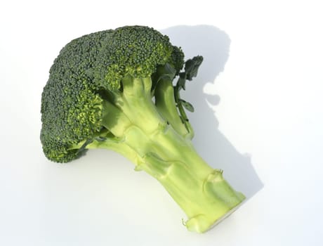 Broccoli,brassica,oleracea has large green flowers with excellent taste and decorative appearance. Broccoli,Brassica,oleracea has large green flowers with excellent taste and decorative appearance