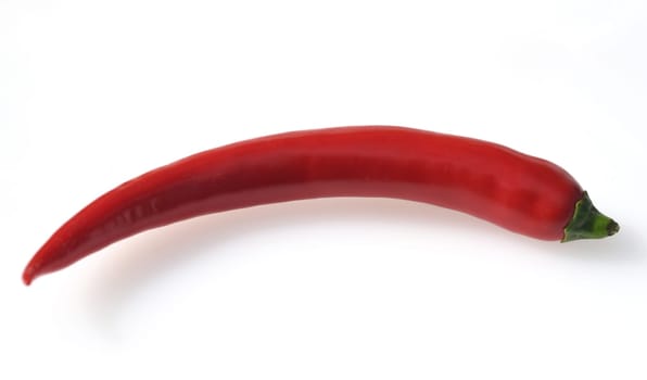 Chili pepperoni is a hot herb plant and is used in the kitchen for waking. Chili pepperoni is a hot herb plant and is used in the kitchen for seasoning.