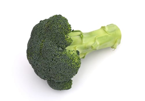 Broccoli,brassica,oleracea has large green flowers with excellent taste and decorative appearance. Broccoli,Brassica,oleracea has large green flowers with excellent taste and decorative appearance