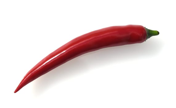 Chili pepperoni is a hot herb plant and is used in the kitchen for waking. Chili pepperoni is a hot herb plant and is used in the kitchen for seasoning.