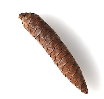 Caucasus spruce,also known as oriental spruce,oriental spruce and sapindus spruce,is a species of flowering plant in the spruce family. Caucasus spruce,also known as Oriental spruce,oriental spruce and Sapindus spruce,is a plant s