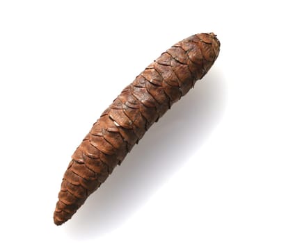 Caucasus spruce,also known as oriental spruce,oriental spruce and sapindus spruce,is a species of flowering plant in the spruce family. Caucasus spruce,also known as Oriental spruce,oriental spruce and Sapindus spruce,is a plant s