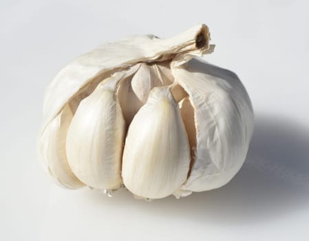 Garlic,Allium,sativum is a very healthy herb plant and is used in the kitchen for heating and is an important medicinal plant. Garlic,Allium sativum is a very healthy herb and is used in the kitchen for seasoning and is an important medicinal plant