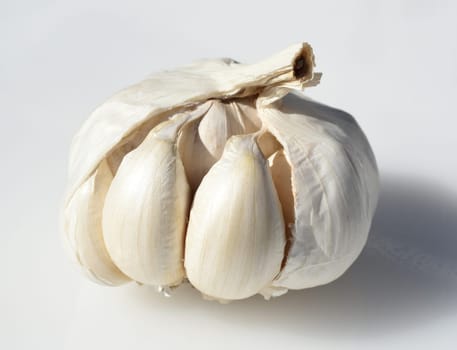 Garlic,Allium,sativum is a very healthy herb plant and is used in the kitchen for heating and is an important medicinal plant. Garlic,Allium sativum is a very healthy herb and is used in the kitchen for seasoning and is an important medicinal plant