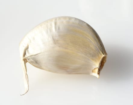 Garlic,Allium,sativum is a very healthy herb plant and is used in the kitchen for heating and is an important medicinal plant. Garlic,Allium sativum is a very healthy herb and is used in the kitchen for seasoning and is an important medicinal plant