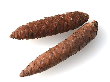 Caucasus spruce,also known as oriental spruce,oriental spruce and sapindus spruce,is a species of flowering plant in the spruce family. Caucasus spruce,also known as Oriental spruce,oriental spruce and Sapindus spruce,is a plant s