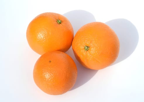 Orange tree,Citrus sinensis,is an exotic fruit that is also used dried as a fragrance. Orange,tree,Citrus sinensis,is an exotic fruit that is also used as a fragrance when dried.
