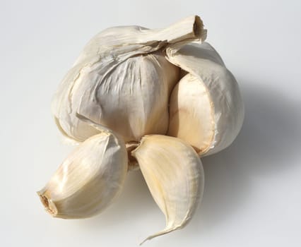 Garlic,Allium,sativum is a very healthy herb plant and is used in the kitchen for heating and is an important medicinal plant. Garlic,Allium sativum is a very healthy herb and is used in the kitchen for seasoning and is an important medicinal plant