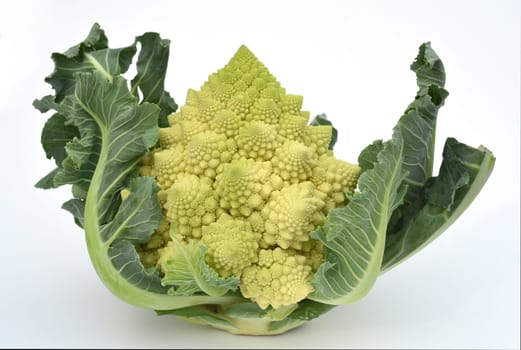 Romanesco,broccoli has large green flowers with excellent taste and decorative appearance. Romanesco,broccoli has large green flowers with an excellent taste and decorative appearance.